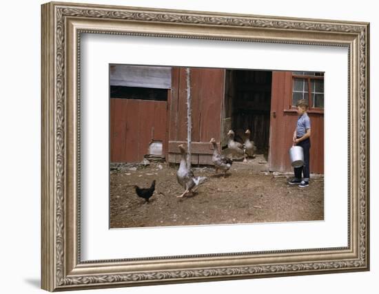 Boy Watching Geese Leave Barn-William P. Gottlieb-Framed Photographic Print