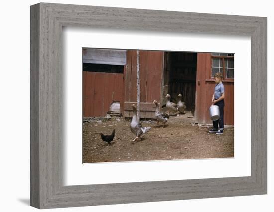 Boy Watching Geese Leave Barn-William P. Gottlieb-Framed Photographic Print