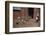 Boy Watching Geese Leave Barn-William P. Gottlieb-Framed Photographic Print