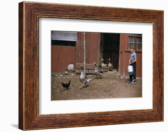 Boy Watching Geese Leave Barn-William P. Gottlieb-Framed Photographic Print