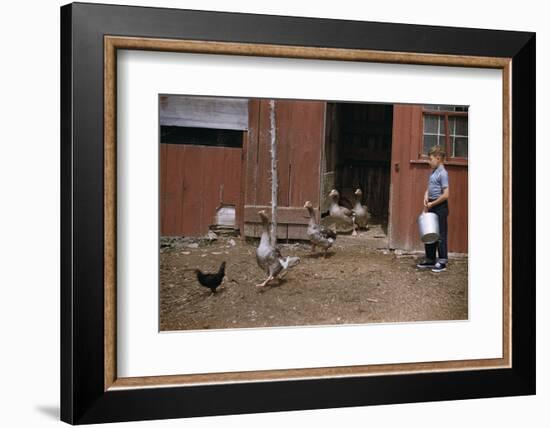 Boy Watching Geese Leave Barn-William P. Gottlieb-Framed Photographic Print