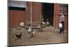 Boy Watching Geese Leave Barn-William P. Gottlieb-Mounted Photographic Print