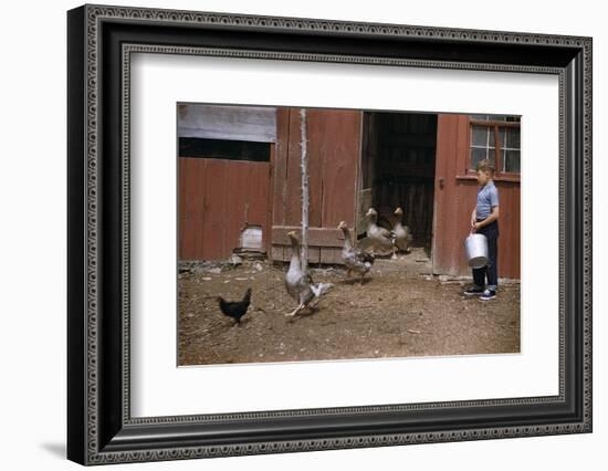 Boy Watching Geese Leave Barn-William P. Gottlieb-Framed Photographic Print