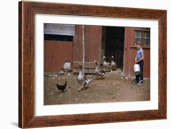 Boy Watching Geese Leave Barn-William P. Gottlieb-Framed Photographic Print