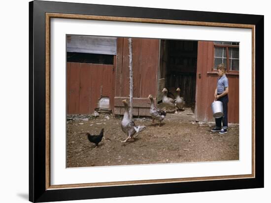 Boy Watching Geese Leave Barn-William P. Gottlieb-Framed Photographic Print