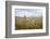 Boy with Bicycle in Grain Field-Ralf Gerard-Framed Photographic Print