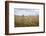 Boy with Bicycle in Grain Field-Ralf Gerard-Framed Photographic Print