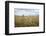 Boy with Bicycle in Grain Field-Ralf Gerard-Framed Photographic Print