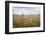 Boy with Bicycle in Grain Field-Ralf Gerard-Framed Photographic Print