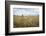 Boy with Bicycle in Grain Field-Ralf Gerard-Framed Photographic Print