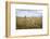 Boy with Bicycle in Grain Field-Ralf Gerard-Framed Photographic Print