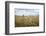 Boy with Bicycle in Grain Field-Ralf Gerard-Framed Photographic Print