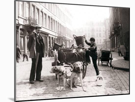 Boy with Dogcart, Antwerp, 1898-James Batkin-Mounted Photographic Print