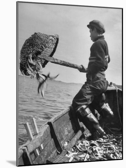 Boy Working Feverishly to Fill His Dory with Fish-null-Mounted Photographic Print