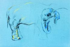 Elephant Painting-Boyan Dimitrov-Art Print
