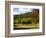 Boynton's of Bright Vineyard, near Bright, Victoria, Australia-David Wall-Framed Photographic Print