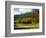 Boynton's of Bright Vineyard, near Bright, Victoria, Australia-David Wall-Framed Photographic Print