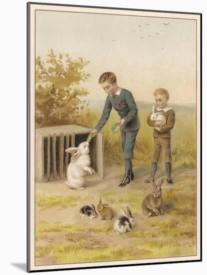 Boys and Rabbits 1889-Helena J Maguire-Mounted Art Print