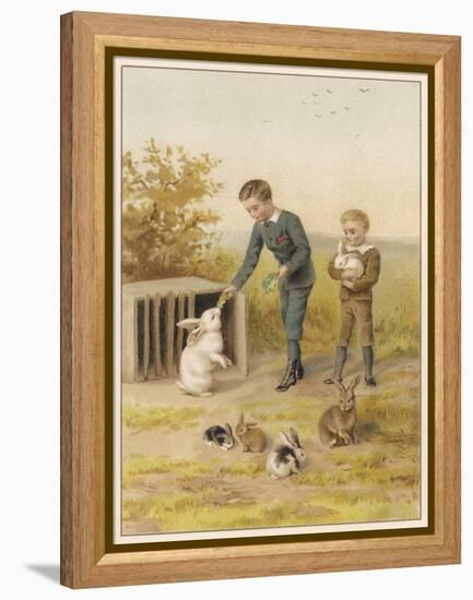 Boys and Rabbits 1889-Helena J Maguire-Framed Stretched Canvas
