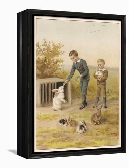 Boys and Rabbits 1889-Helena J Maguire-Framed Stretched Canvas