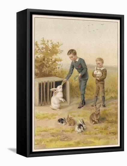 Boys and Rabbits 1889-Helena J Maguire-Framed Stretched Canvas