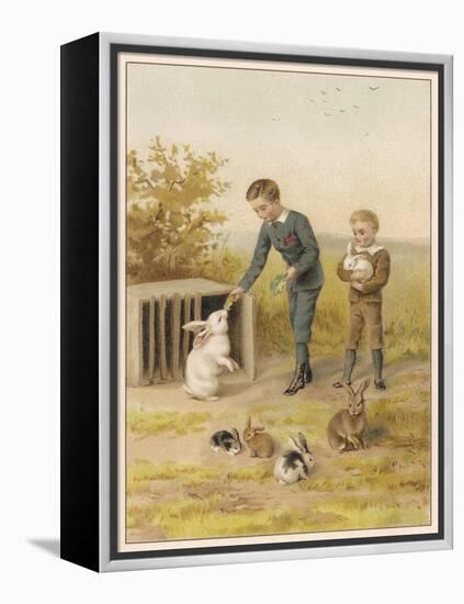 Boys and Rabbits 1889-Helena J Maguire-Framed Stretched Canvas