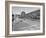 Boys and their Cars Crossing the Finish Line During the Soap Box Derby-Carl Mydans-Framed Photographic Print