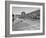 Boys and their Cars Crossing the Finish Line During the Soap Box Derby-Carl Mydans-Framed Photographic Print