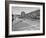 Boys and their Cars Crossing the Finish Line During the Soap Box Derby-Carl Mydans-Framed Photographic Print