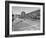 Boys and their Cars Crossing the Finish Line During the Soap Box Derby-Carl Mydans-Framed Photographic Print