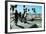 Boys at Skate Park-Steve Ash-Framed Photographic Print