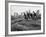 Boys Climbing About on Rock Formation in Central Park as Essex House Looms Amidst Skyline of City-Bill Ray-Framed Photographic Print