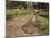 Boys Fishing Around the Temples of Angkor, Cambodia, Indochina, Southeast Asia-Andrew Mcconnell-Mounted Photographic Print