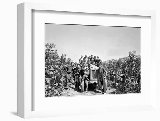 Boys on a Tractor on a Tobacco Field-Sergio del Grande-Framed Photographic Print