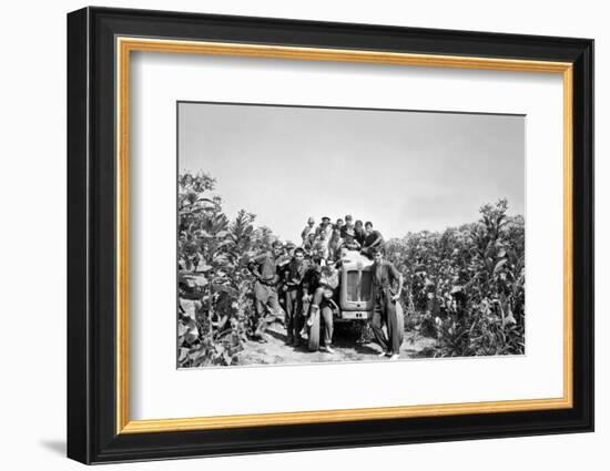 Boys on a Tractor on a Tobacco Field-Sergio del Grande-Framed Photographic Print
