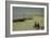 Boys on the Beach at Skagen-Peder Severin Kröyer-Framed Giclee Print