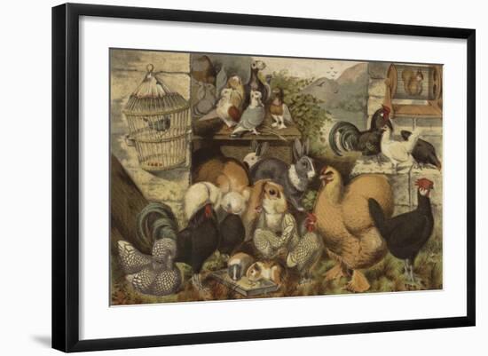 Boys' Pets-null-Framed Giclee Print