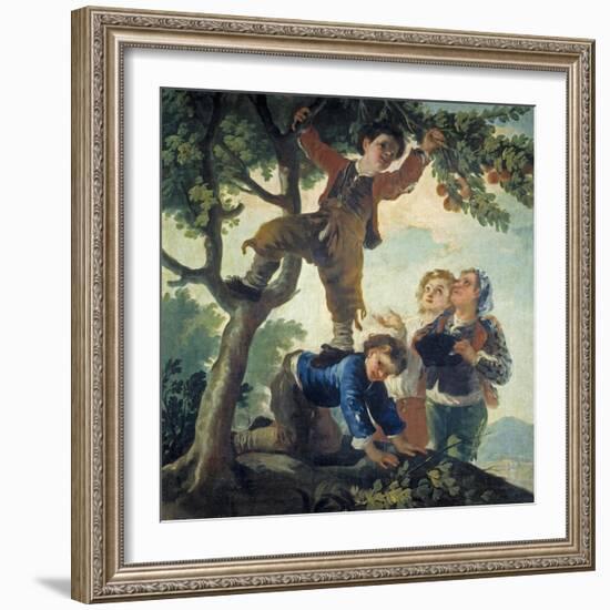 Boys Picking Fruit, 1779-80-Francisco de Goya-Framed Giclee Print