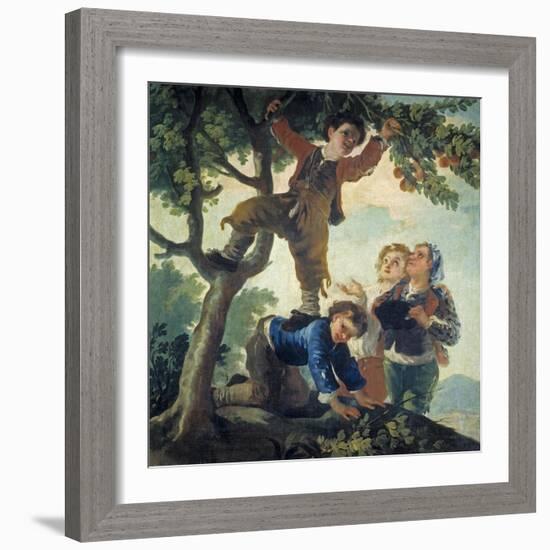 Boys Picking Fruit, 1779-80-Francisco de Goya-Framed Giclee Print