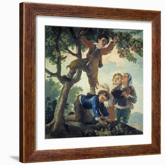 Boys Picking Fruit, 1779-80-Francisco de Goya-Framed Giclee Print