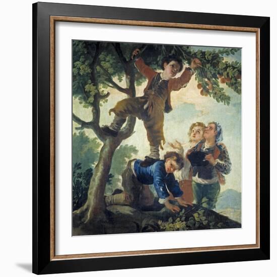 Boys Picking Fruit, 1779-80-Francisco de Goya-Framed Giclee Print