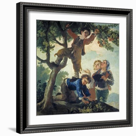 Boys Picking Fruit, 1779-80-Francisco de Goya-Framed Giclee Print