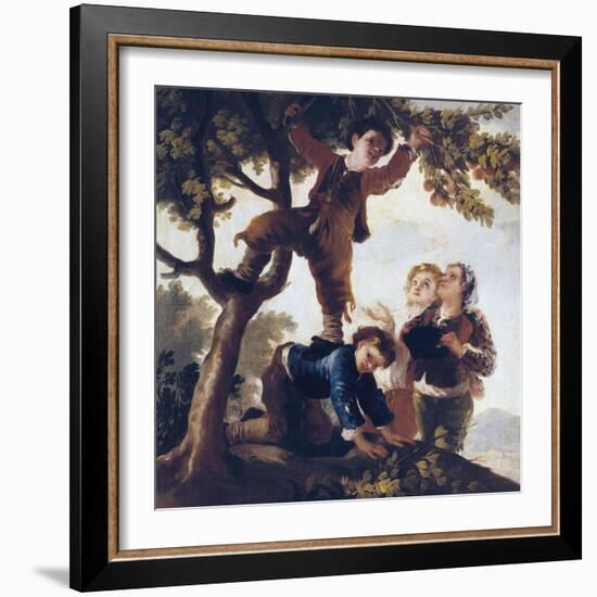 Boys Picking Fruit-Francisco de Goya-Framed Art Print