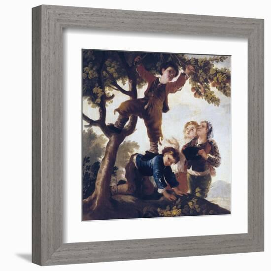 Boys Picking Fruit-Francisco de Goya-Framed Art Print