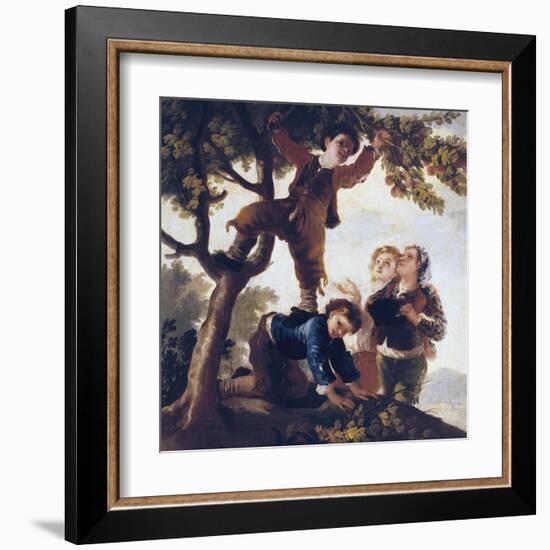 Boys Picking Fruit-Francisco de Goya-Framed Art Print