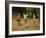 Boys Playing by Victor Gabriel Gilbert-Victor Gabriel Gilbert-Framed Giclee Print