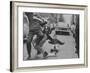 Boys Skateboarding in the Streets-Bill Eppridge-Framed Photographic Print