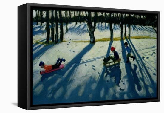 Boys Sledging, Allestree Park, Derby-Andrew Macara-Framed Premier Image Canvas