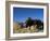 Boys Threshing with Oxen, Bamiyan, Bamiyan Province, Afghanistan-Jane Sweeney-Framed Photographic Print