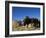 Boys Threshing with Oxen, Bamiyan, Bamiyan Province, Afghanistan-Jane Sweeney-Framed Photographic Print